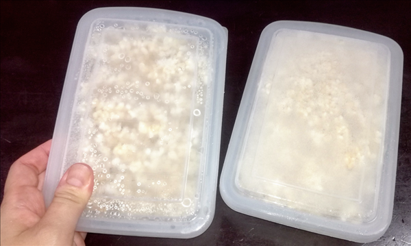 ご飯の冷凍保存方法の写真